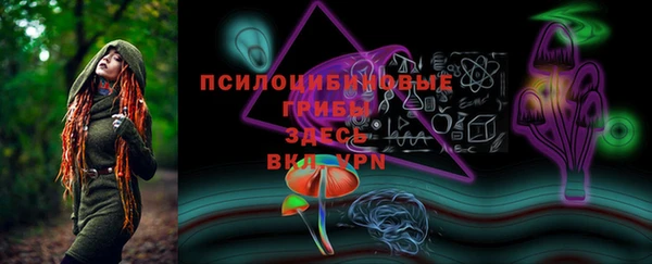 шишки Горняк