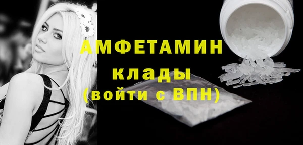 шишки Горняк