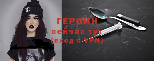 шишки Горняк