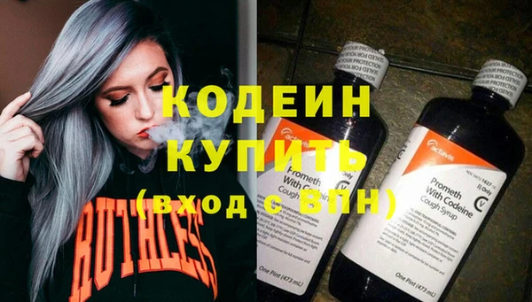 шишки Горняк