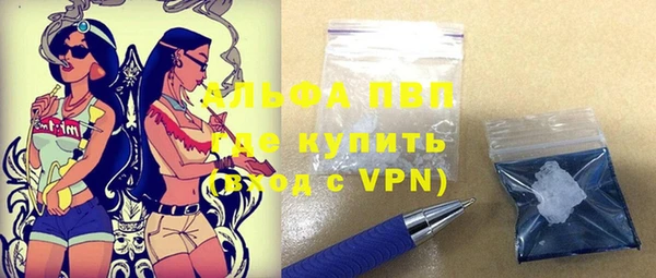 ГАЛЛЮЦИНОГЕННЫЕ ГРИБЫ Горно-Алтайск