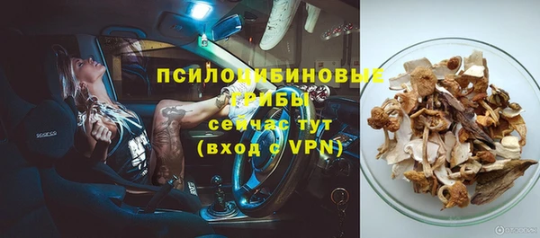 прущая мука Верея