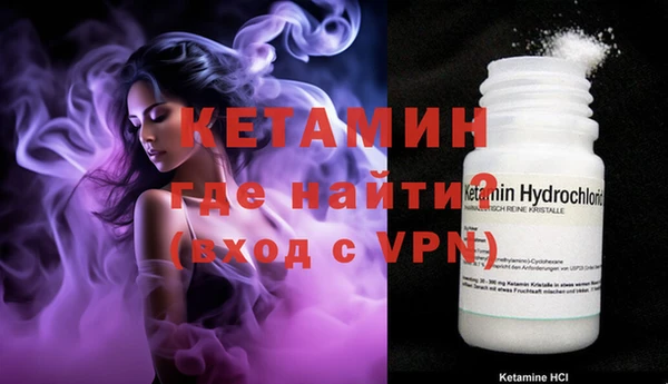 прущие грибы Сясьстрой