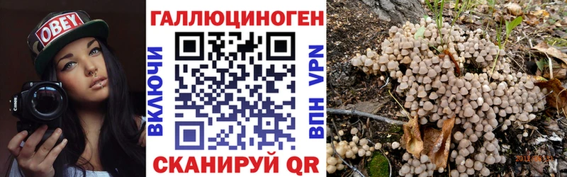Псилоцибиновые грибы прущие грибы  Дмитровск 